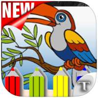Coloring Bird Beautiful Ideas