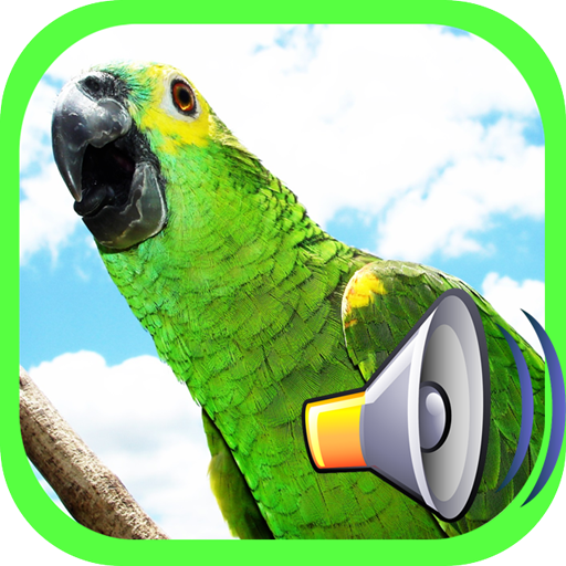 Call Birds icon