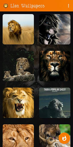 🦁 Lion Wallpaper : Wild King Backgrounds screenshot 1