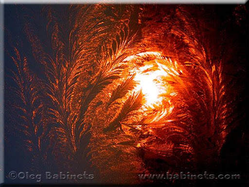 Beautiful Pictures screenshot 1