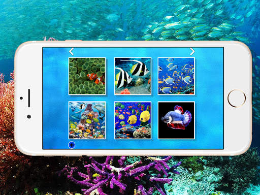 World of Fish Puzzle Jigsaw screenshot 5