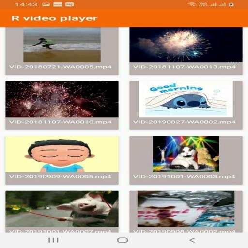 R Video Player screenshot 4
