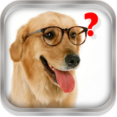 Magic Ball. Ask the dog icon