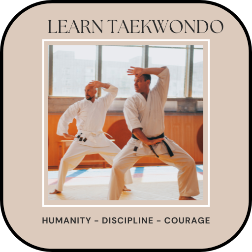 Learn taekwondo training icon