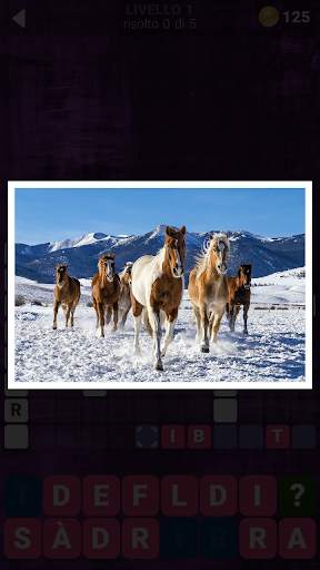 160 Foto Cruciverba screenshot 2