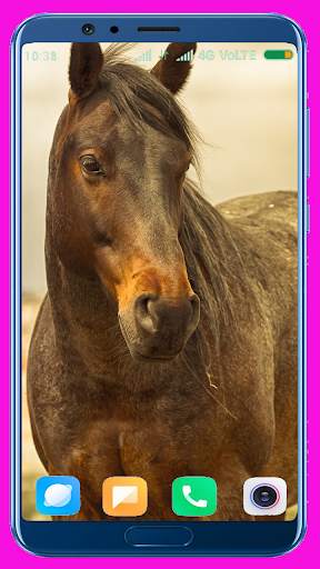 Horse Wallpaper screenshot 7