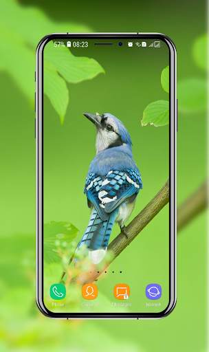 Birds Wallpaper screenshot 2