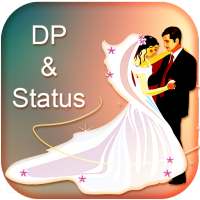 DP STATUS 2020 logo