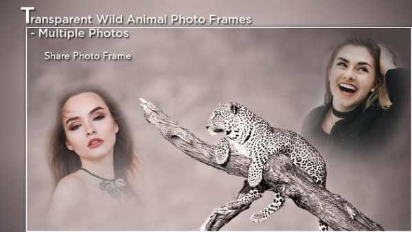 Transparent Wild Animal Photo Frame - Multi Photos screenshot 5