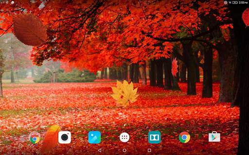 Autumn Forest Live Wallpaper screenshot 9