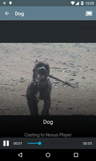 VEGA Cast screenshot 4
