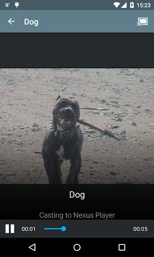 VEGA Cast (dla Chromecast) screenshot 4