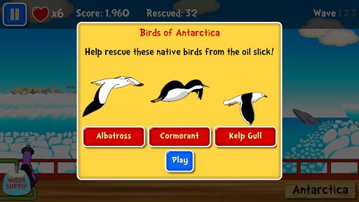 Bird Rescue - Lucky Kat World screenshot 3