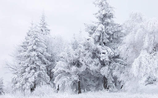 Winter Wallpapers | hd backgrounds screenshot 18