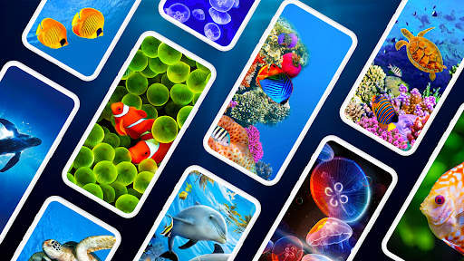 Underwater Wallpapers 4K screenshot 1