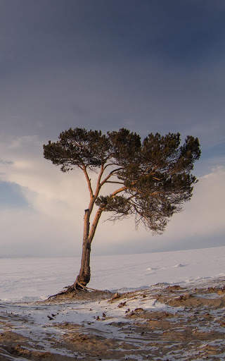 Winter Wallpapers | hd backgrounds screenshot 5