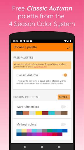 My Autumn Palette screenshot 2