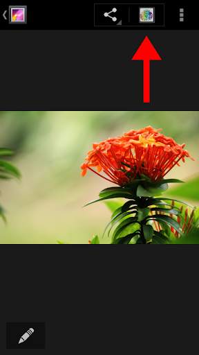 Kaligrafi Foto Editor screenshot 1