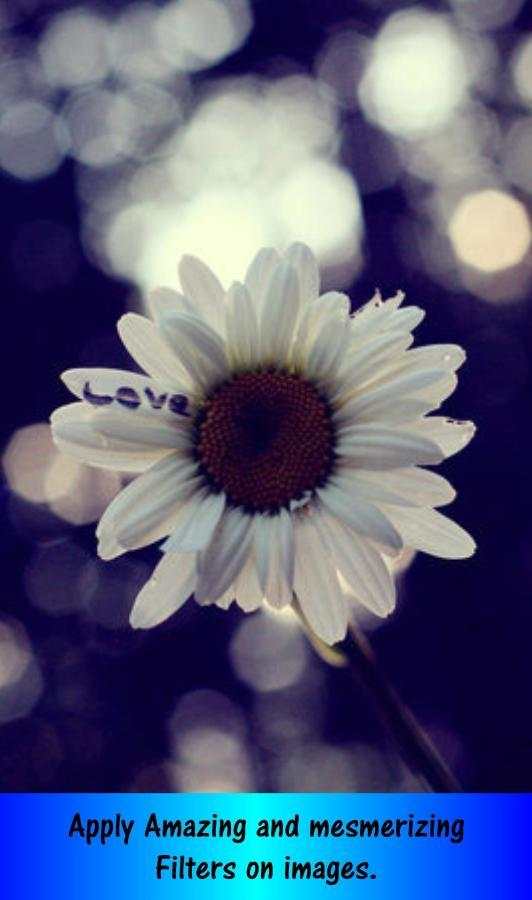 Photo Funia Effect screenshot 1