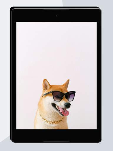 Funny Wallpapers screenshot 14