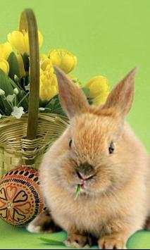 Easter Bunny live wallpaper screenshot 2
