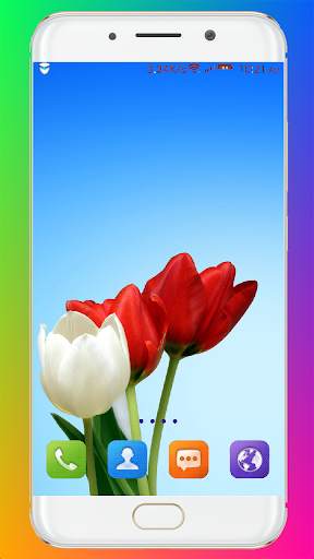 Tulip Wallpaper HD screenshot 15