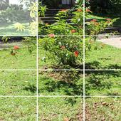 ikon Puzzle My