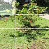 Puzzle My
