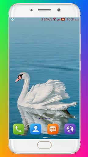 Swan Wallpaper HD screenshot 7