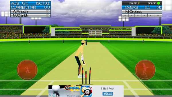 CRICKET 3D screenshot 1