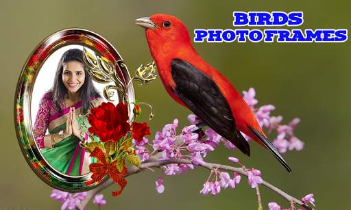 Birds Photo Frames скриншот 8