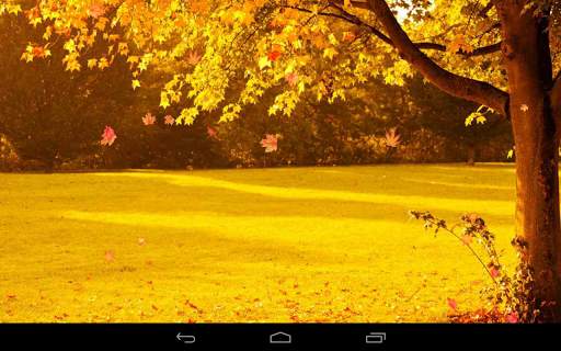 Autumn Wallpaper screenshot 12