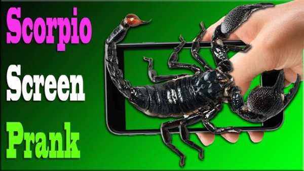 Scorpion On Hand Screen Photo screenshot 1