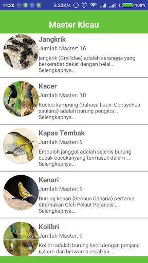 Bird Mastering for Train screenshot 4