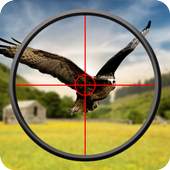 Bird Hunting 3d Adventure 1.0