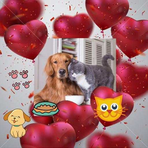 Pets photo editor screenshot 12