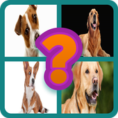 4 Pics 1 Word icon