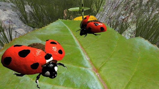 Ladybug simulator - animal game screenshot 8