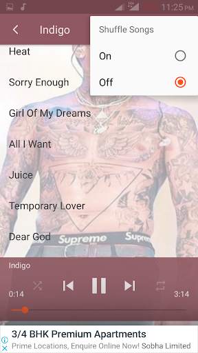 Chris Brown Songs screenshot 4