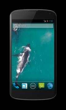 Whales Free Video Wallpaper screenshot 3