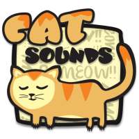 CAT Sounds