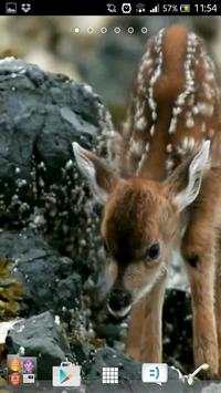 Deer wallpapers screenshot 2