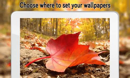 Autumn Wallpaper (4k) screenshot 10