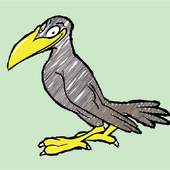 Bird Drawing Apps for Kids- Step by Step Tutorial 1.1