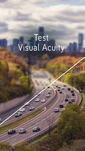 Visual Acuity Test screenshot 1
