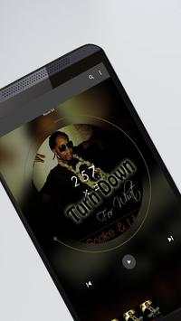 Real Audio Player PRO Playback screenshot 2
