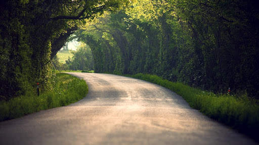 Summer Wallpapers : backgrounds hd screenshot 21