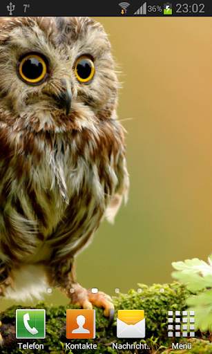 Owls Live Wallpaper screenshot 3