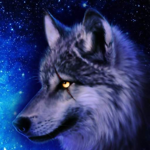Free Wolf Wallpaper HD 1.0