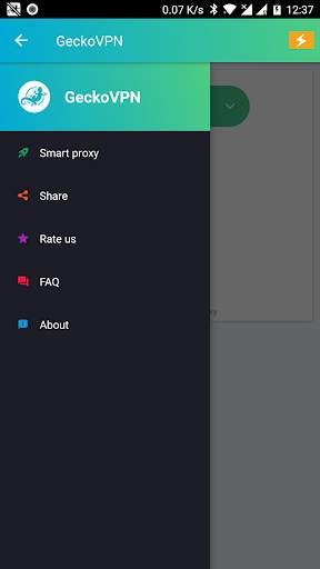 GeckoVPN Unlimited Proxy VPN screenshot 5